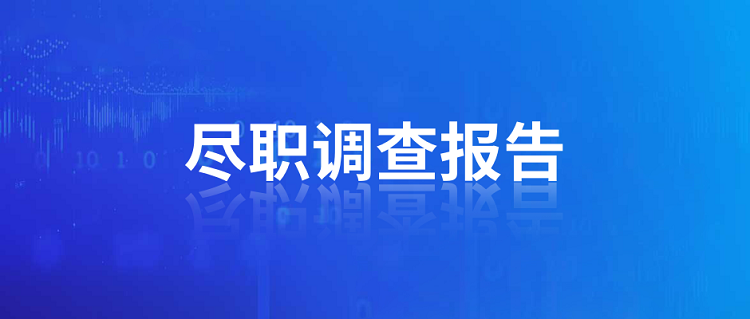 ODI境外投資盡職調(diào)查報告